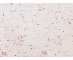 Столешница Luxeform S957 1U (5008 BS) Багамо