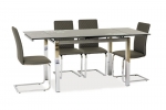Стол обеденный GD-017 110(170)x74 Серый