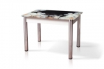 Обеденный стол со стеклянной столешницей (Ромашки) от Микс-Мебель