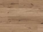Ламінат KAINDL (Кайндл) колекція Easy Touch Creative Glossy 8.0 Premium Plank Дуб Ferrara Wildlife