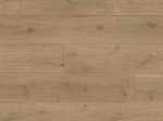 Ламінат PARADOR (Парадор) Trendtime 6 Дуб Lumberjack