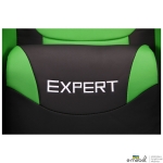 Кресло VR Racer Expert Champion черный/зеленый