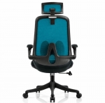 Ергономічне крісло Nicolo Blue Black